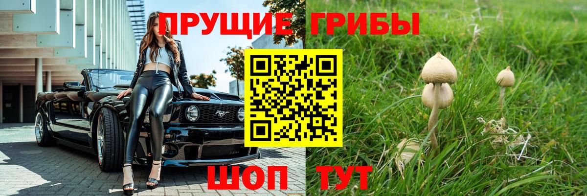наркотики  Вход с VPN  Нефтекумск  Галлюциногенные грибы мицелий 